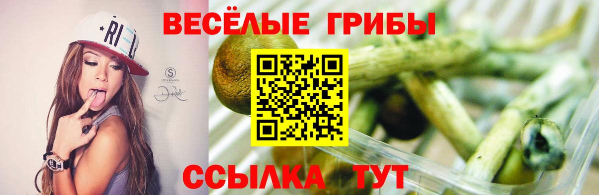 Псилоцибиновые грибы мицелий  Вход с VPN  Югорск 